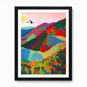 Blue Mountains National Park 2 Australia Abstract Colourful Art Print