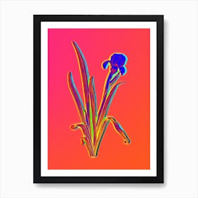Neon Crimean Iris Botanical in Hot Pink and Electric Blue n.0431 Art Print