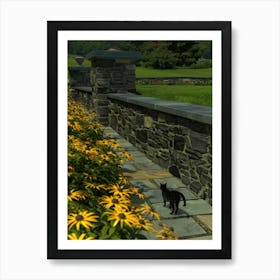 Cat On A Stone Wall Art Print