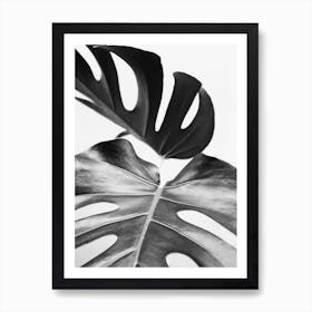 Minimalist Monstera Art Print