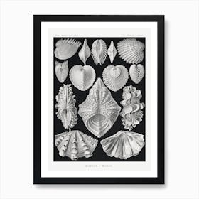 Acephala–Muscheln, Ernst Haeckel Art Print