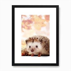 Hedgehog Art Print