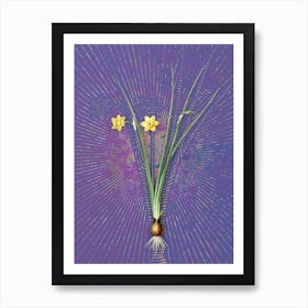 Vintage Daffodil Botanical Illustration on Veri Peri n.0030 Art Print