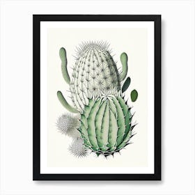 Stenocactus Cactus William Morris Inspired 1 Art Print