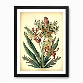 Kangaroo Paw 3 Floral Botanical Vintage Poster Flower Art Print