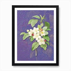 Vintage Apple Blossom Botanical Illustration on Veri Peri Art Print