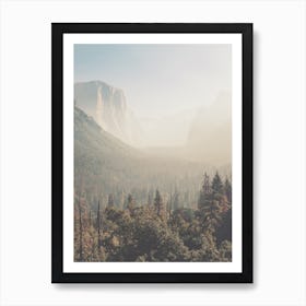 Foggy Yosemite Forest Art Print