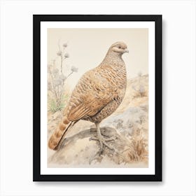 Vintage Bird Drawing Grouse 2 Art Print