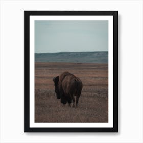 South Dakota Bison Art Print