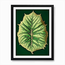 Betel Leaf Vintage Botanical 3 Art Print