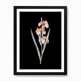 Stained Glass Irises Mosaic Botanical Illustration on Black n.0342 Art Print