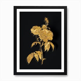 Vintage Purple Roses Botanical in Gold on Black n.0269 Art Print