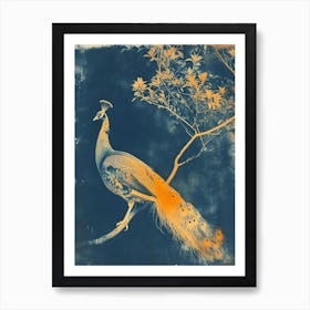 Orange & Blue Peacock Cyanotype Inspired 2 Art Print