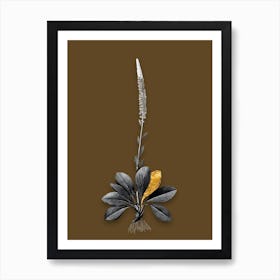 Vintage Blazing Star Black and White Gold Leaf Floral Art on Coffee Brown n.0199 Art Print