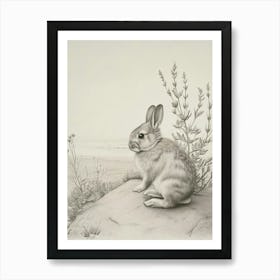 Mini Lop Rabbit Drawing 4 Art Print