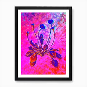 Daisy Flowers Botanical in Acid Neon Pink Green and Blue n.0197 Art Print