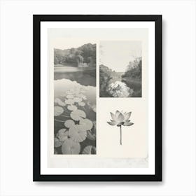 Lotus Flower Photo Collage 2 Art Print