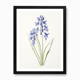 Bluebells Flower Vintage Botanical 3 Art Print