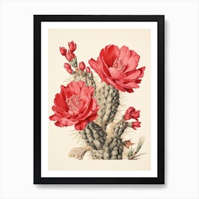 Vintage Cactus Illustration Austrocylindropuntia Subulata 3 Art Print