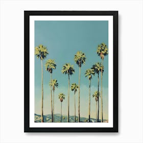 Palm Trees 12 Poster