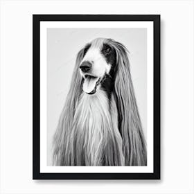 Afghan Hound 2 B&W Pencil Dog Art Print