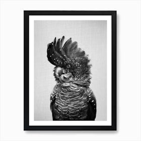 Black Cockatoo - Black & White Art Print