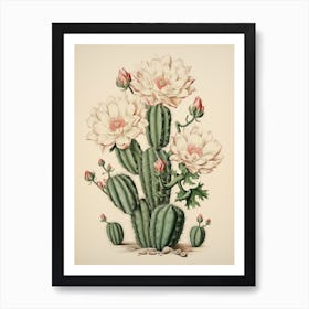 Vintage Cactus Illustration Trichocereus Cactus 2 Art Print