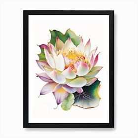 Lotus Flower Petals Decoupage 7 Art Print