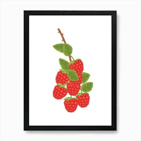 Raspberries On A Branch Art Print