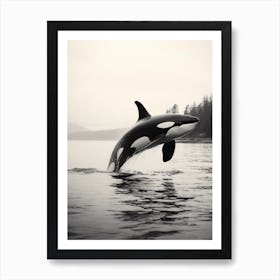 Realistic Black & White Photography Of Orca Whale Diving Out Of Ocean 3 Art Print