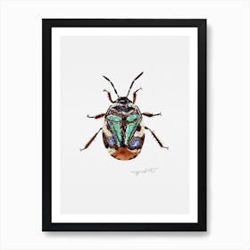 Tritomegas bicolor or pied shield bug , watercolor artwork Art Print