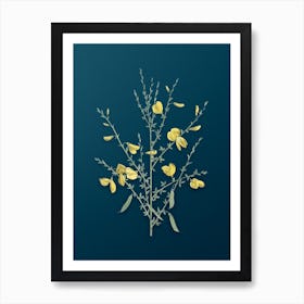 Vintage Yellow Broom Flowers Botanical Art on Teal Blue n.0885 Art Print
