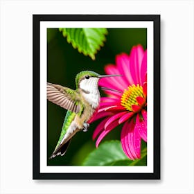 Female Ruby Throated Hummingbird-Reimagined 7 Art Print