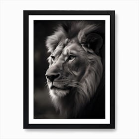 Portrait Of A Lion 1 Art Print