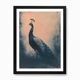 Peacock In The Wild Cyanotype Inspired 2 Art Print