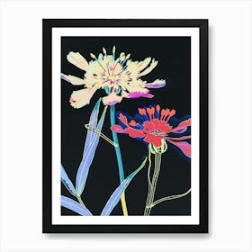 Neon Flowers On Black Scabiosa 1 Art Print