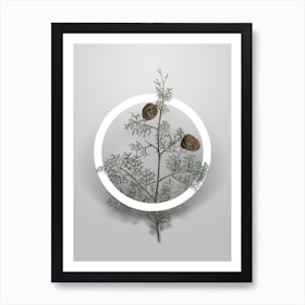 Vintage Mediterranean Cypress Minimalist Flower Geometric Circle on Soft Gray n.0512 Art Print