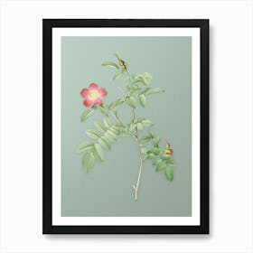 Vintage Pink Alpine Rose Botanical Art on Mint Green n.0271 Art Print