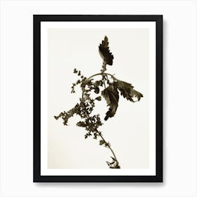 Florales · Plant End 6 Art Print