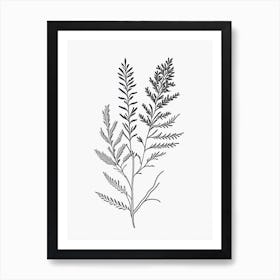 Alfalfa Herb William Morris Inspired Line Drawing Art Print