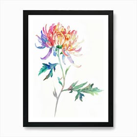 Chrysanthemum Canvas Print Art Print