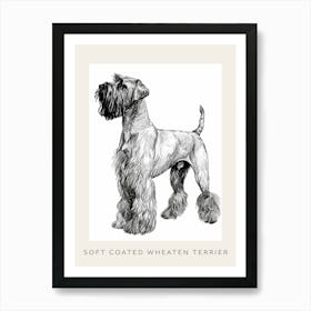 Soft Coated Wheaten Terrier Dog Line Sketch 2 Poster Art Print