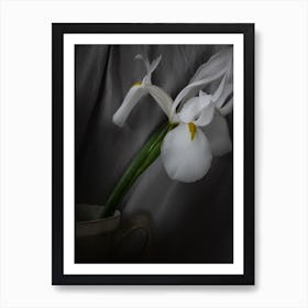 White Iris Art Print