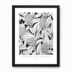 Celosia B&W Vintage Botanical Poster Art Print