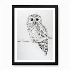 Boreal Owl Marker Drawing 1 Art Print