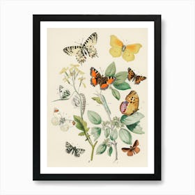 Butterflies And Flowers 3 Art Print