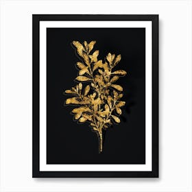 Vintage Bog Myrtle Botanical in Gold on Black n.0457 Art Print
