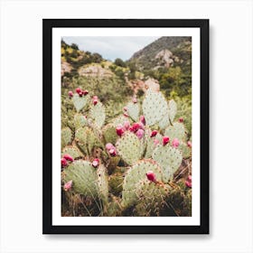 Cactus Art Print