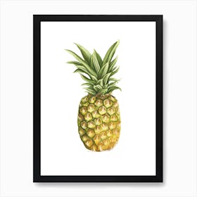 Pineapple Art Print