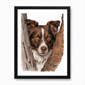 Border Collie Poster